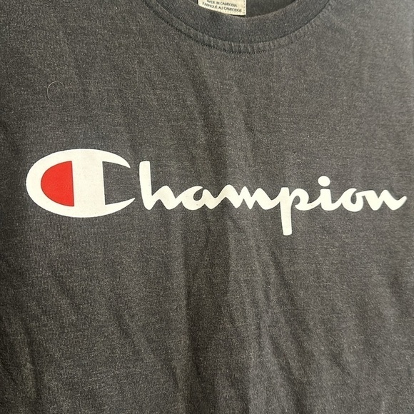 EUC: champion heavyweight, dark, gray T-shirt, men size L - Picture 2 of 5